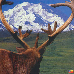 Alaska tour planning photograph from Tom’s original website.